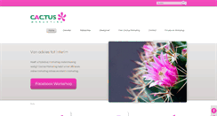 Desktop Screenshot of cactusmarketing.nl